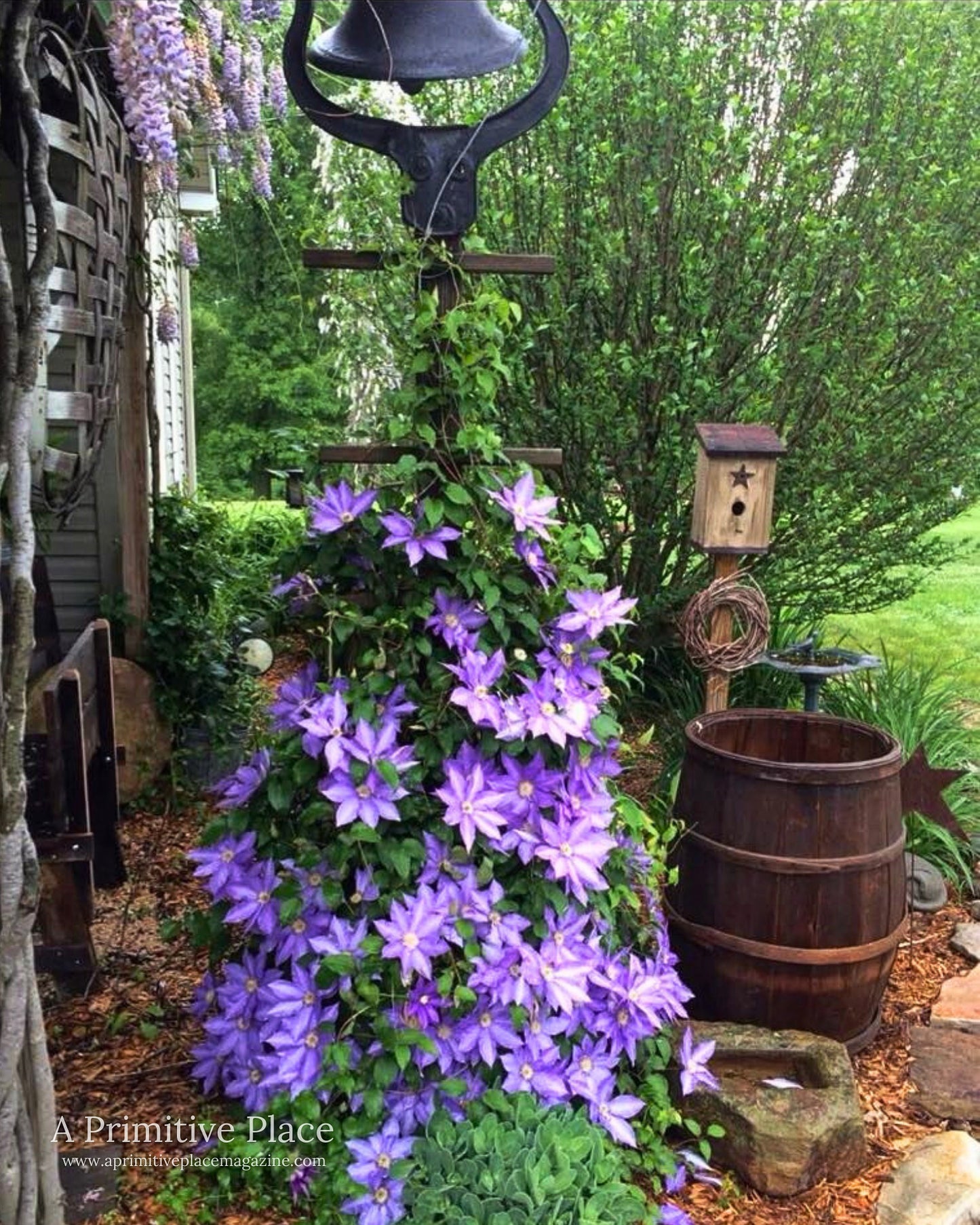 eBook Special Edition: Through the Garden Gate Issue