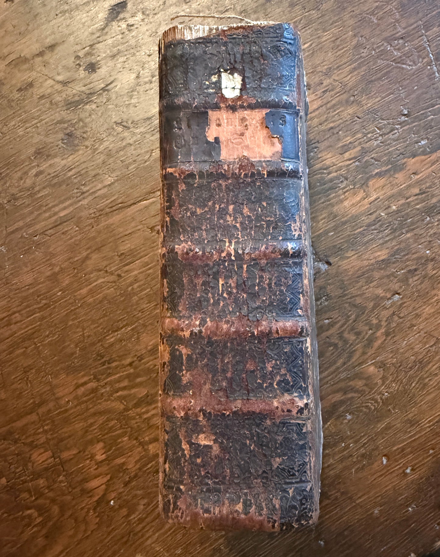 1761 Leather German Bible