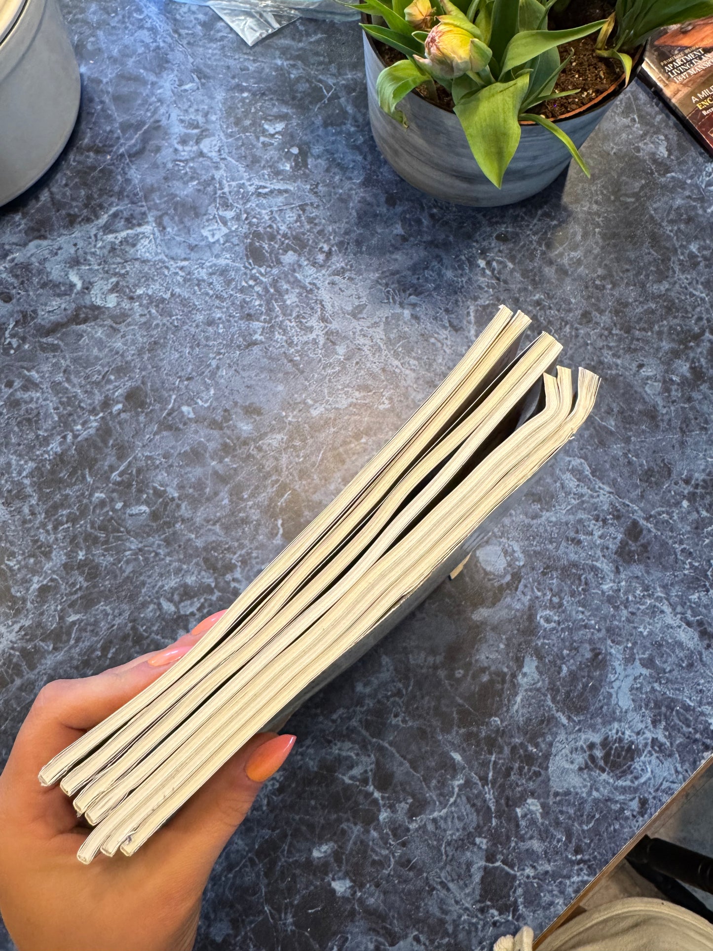 Bargain Bin: Spring 2021 (slightly damaged, $3 + shipping)