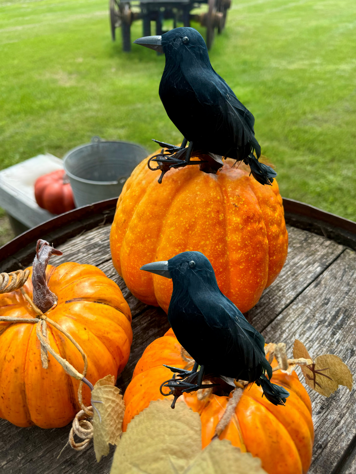Set of 3 Black Crows
