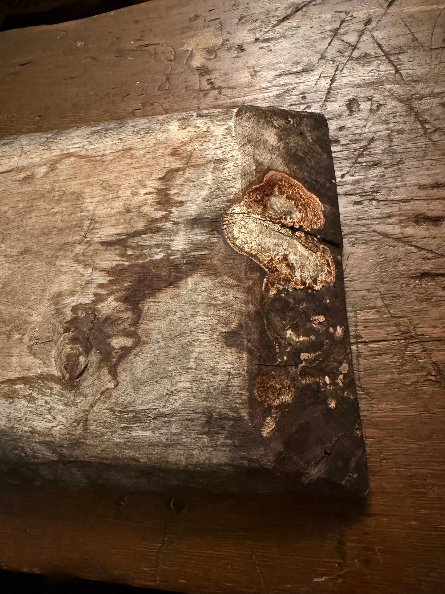 Early Hand-Hewn Trencher, Circa 1780-1820