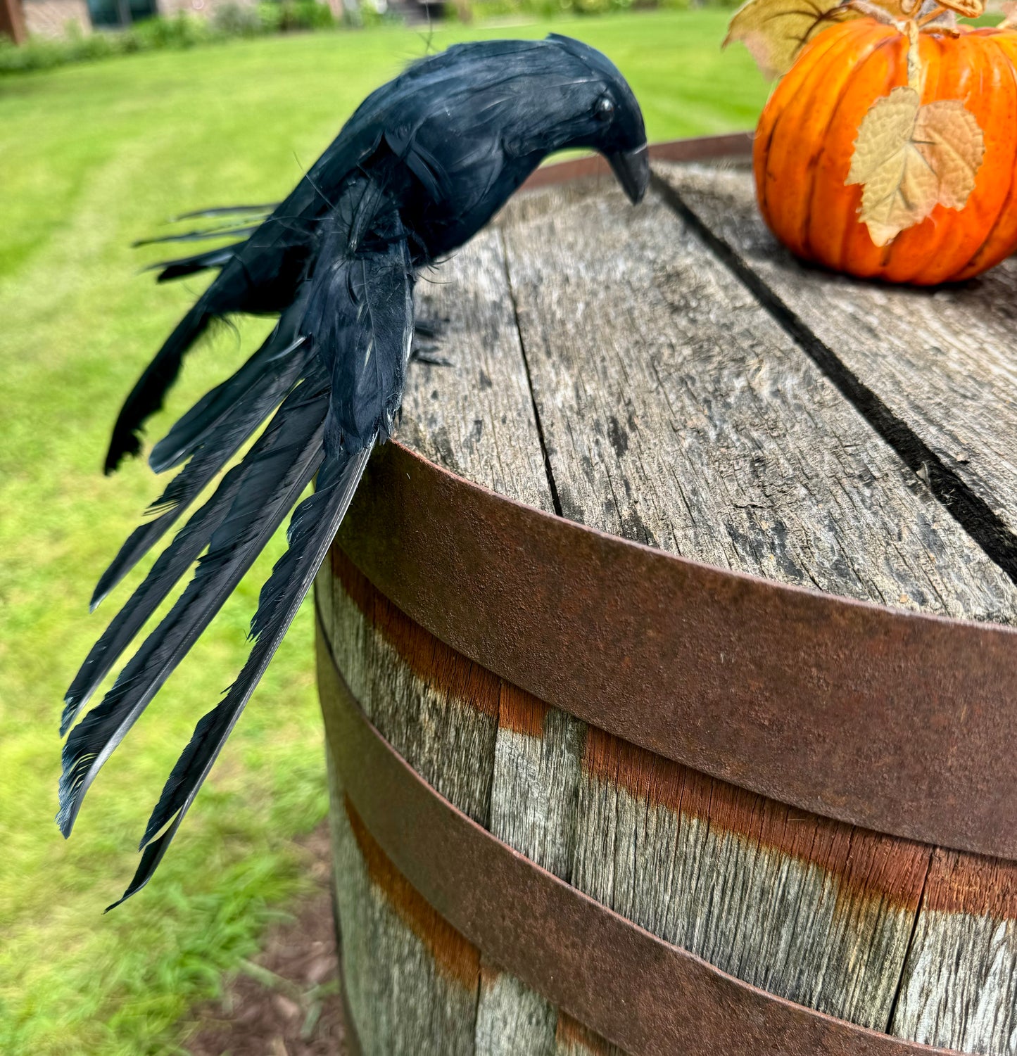 Set of 3 Black Crows