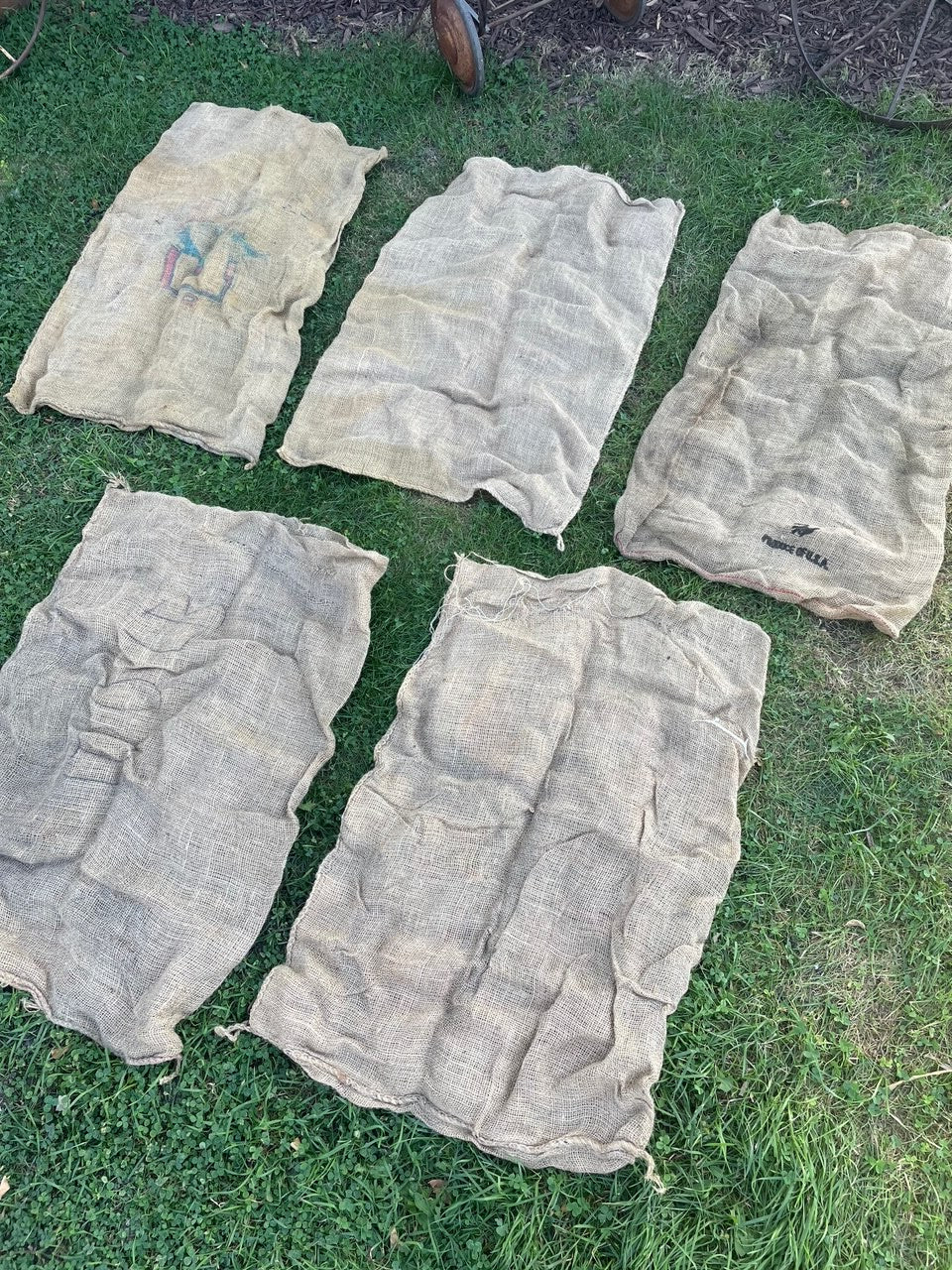 Set of 5 Potato Sacks / Gunny Sacks