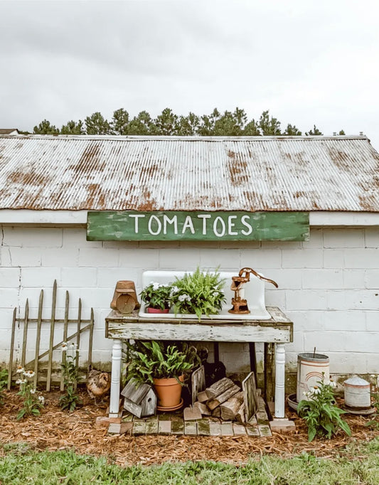 eBook 2026 Special Edition Bundle Pack (Digital Copy, Includes all 4 Upcoming 2026 Special Edition Issues)