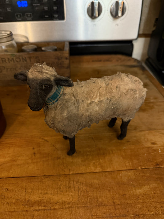 Craig Yenke Co. Sheep