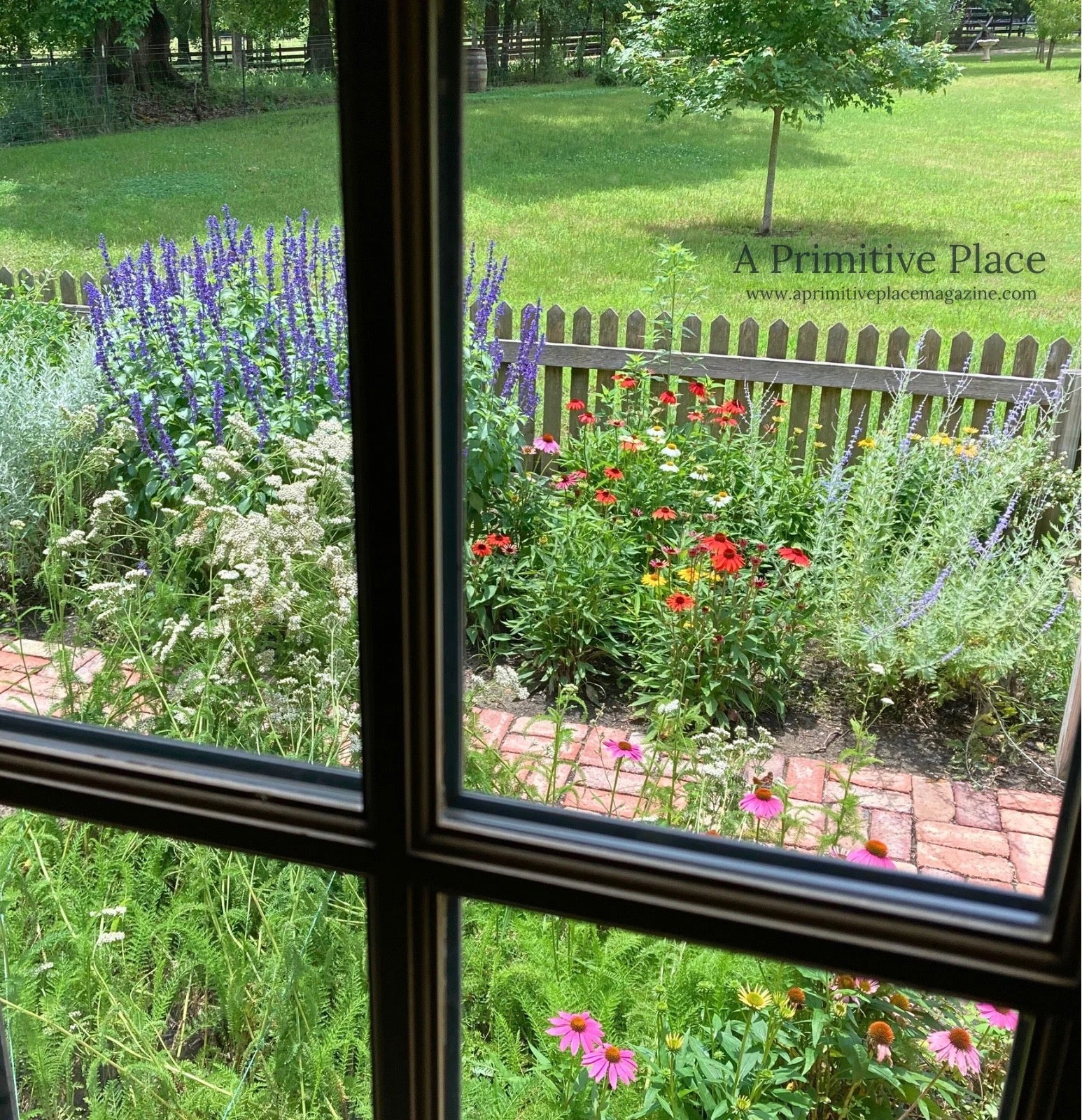 Special Edition Through the Garden Gate A Primitive Place