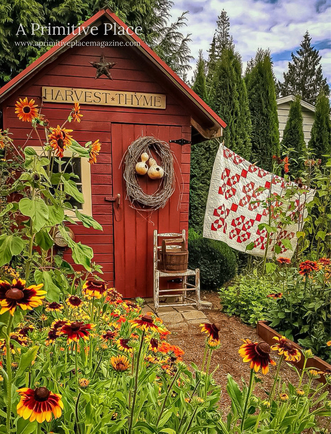 The Latest Issues – A Primitive Place