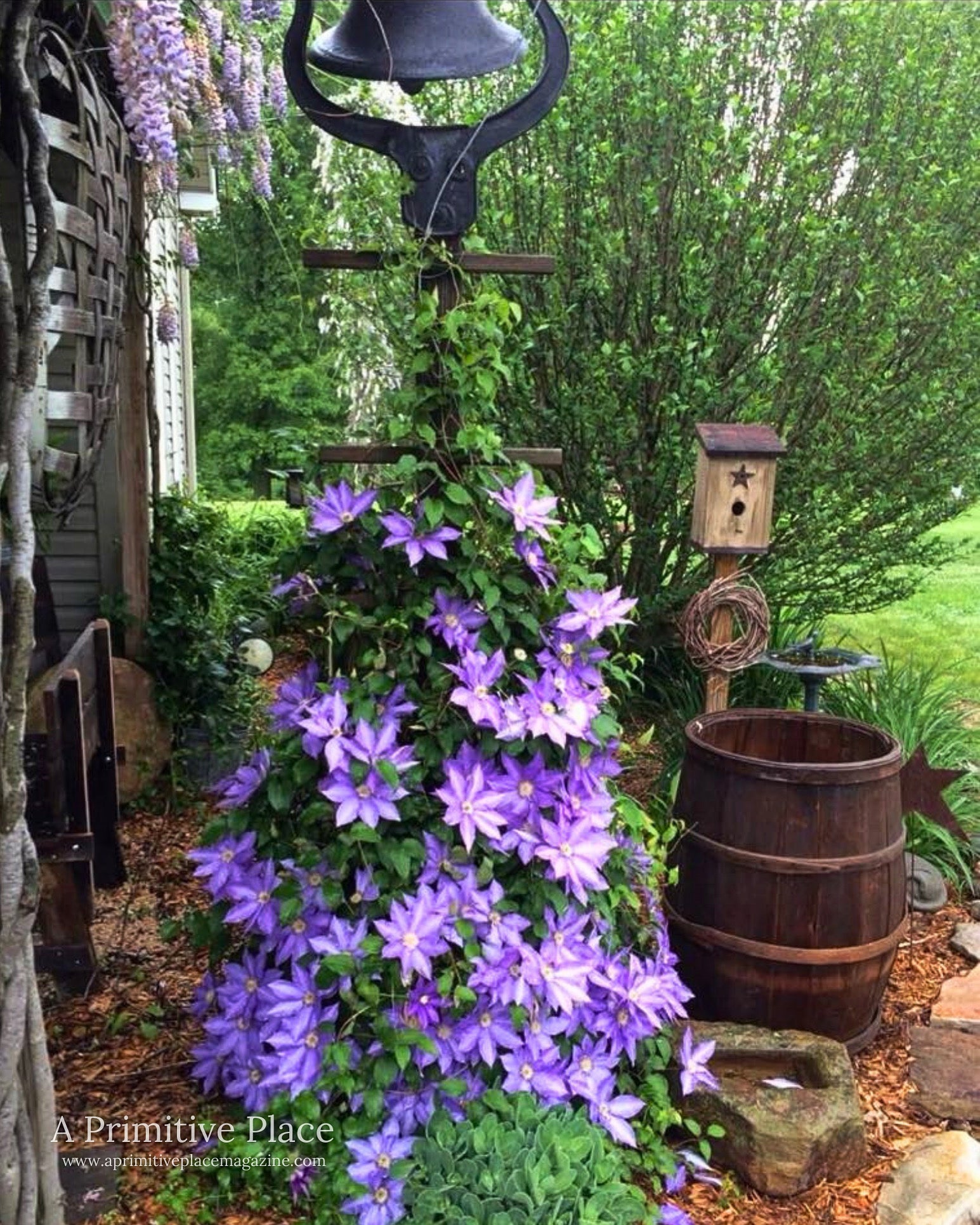 Special Editions A Primitive Place