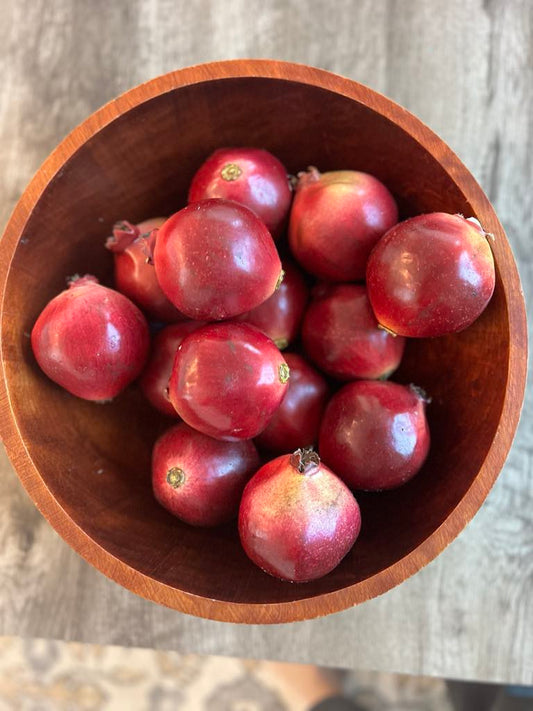 Set of 7 Pomegranates