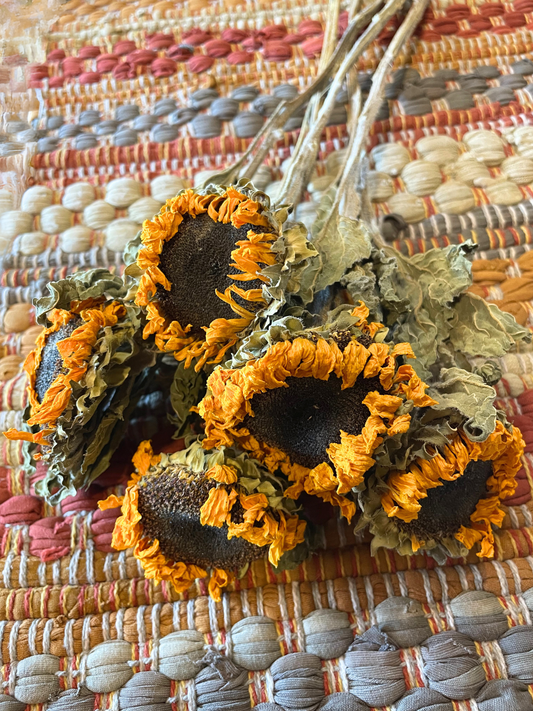 Dried Sunflowers - Set of 5